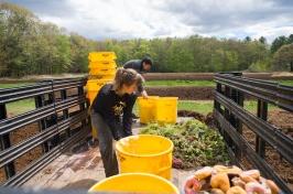 学生 working with compost in the bed of a truck